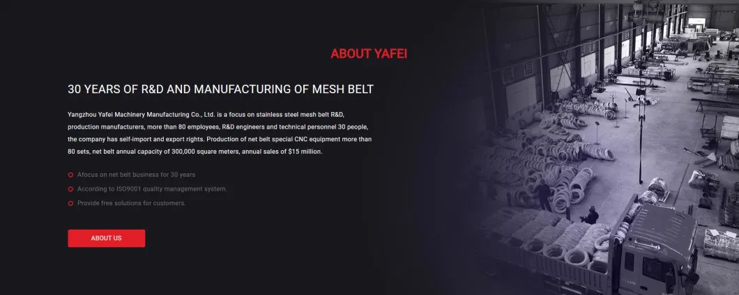Balanced Mesh Belt High Temperature Resistant Metal Conveyor Belt